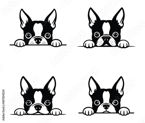 Cute Boston Terrier Dog Heads Peeking Over Edge Black and White Vector