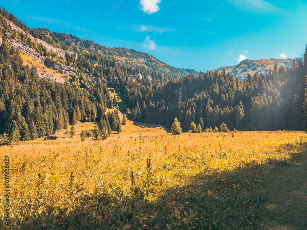 Obraz premium Vacances en montagne