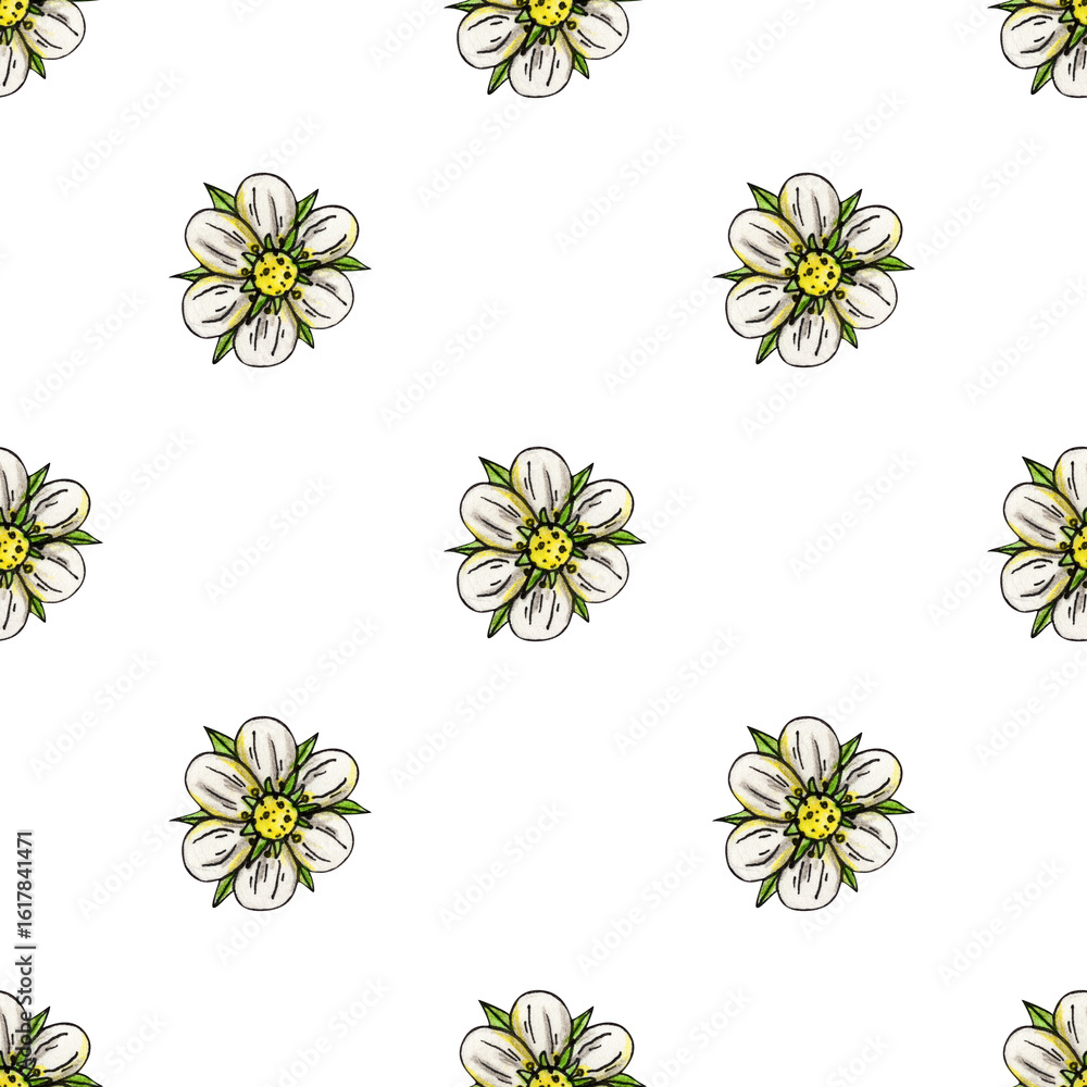 Fototapeta premium Strawberry flower seamless pattern hand drawn watercolor. Berry bud. Summer blooming season. Fruit farm. Illustration background for wall and wrapper.