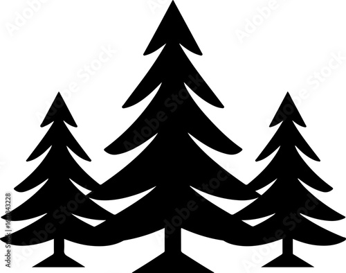 Majestic pine trees in a natural forest setting