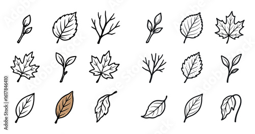 Seasonal Leaf Icons
