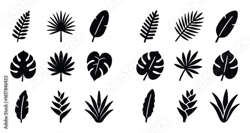 Tropical Leaf Icons