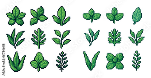 Pixel-Art Medicinal Leaves