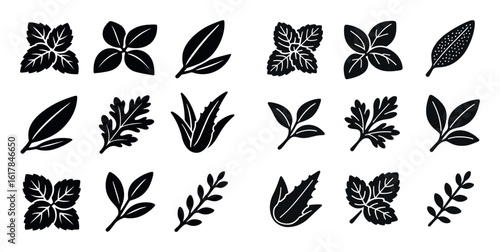 Herbal Leaf Icons