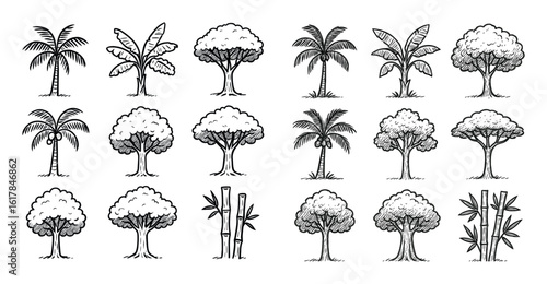 Tropical Tree Sketches