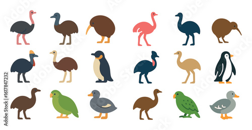 Colorful Flightless Bird Icons