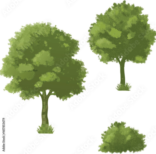 Four green trees stand in a vibrant summer landscape, their lush foliage and strong trunks embodying natural growth and the serene beauty of the forest environment