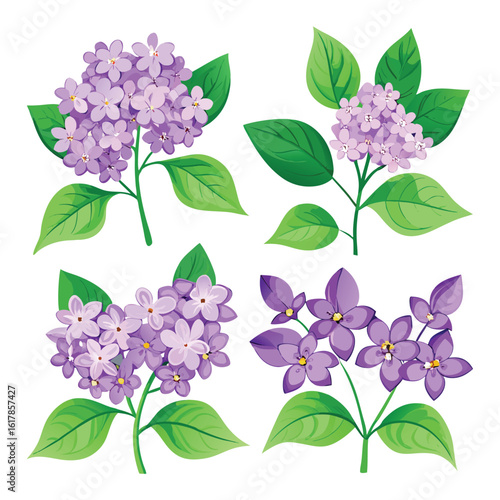 Purple lilac blossoms and green leaves on a branch