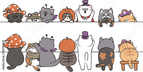 猫(エキゾチックショートヘア)のボーダーセット/ハロウィン