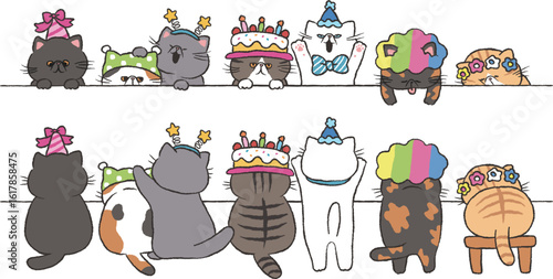 猫(エキゾチックショートヘア)のボーダーセット/パーティー