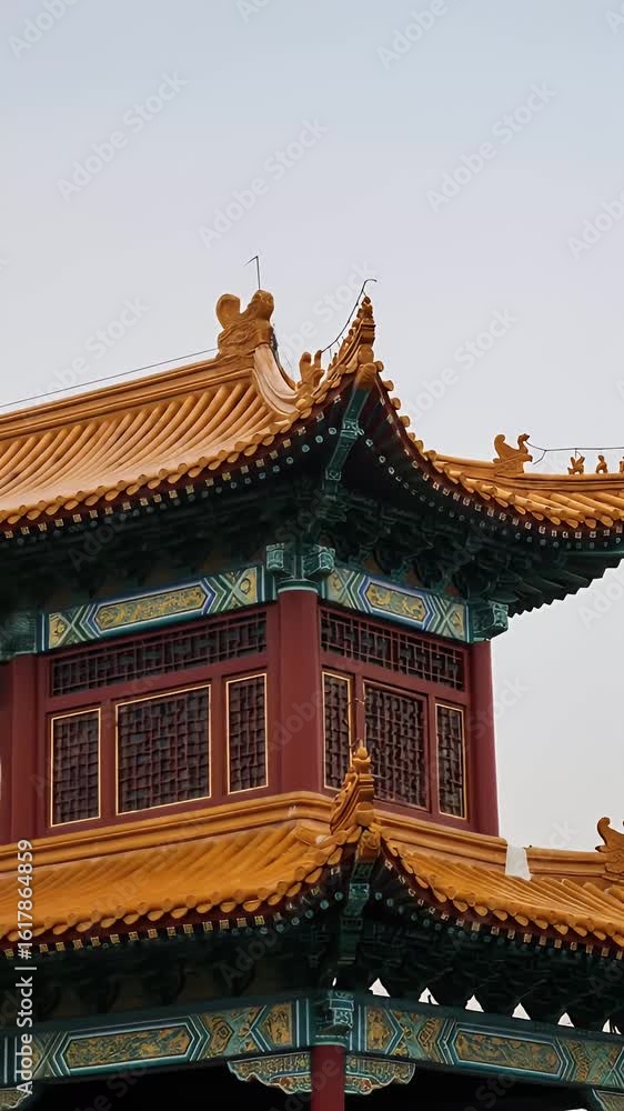 Bird in Flight Above Ornate Golden Roofed Structure in a Clear Sky Bird in Flight Above Ornate Golden Roofed Structure in a Clear Sky