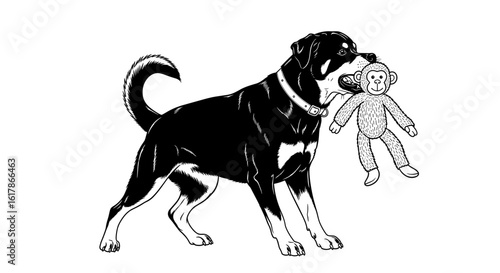 Rottweiler dog carrying a plush toy monkey in its mouth in black and white illustration for pet playtime