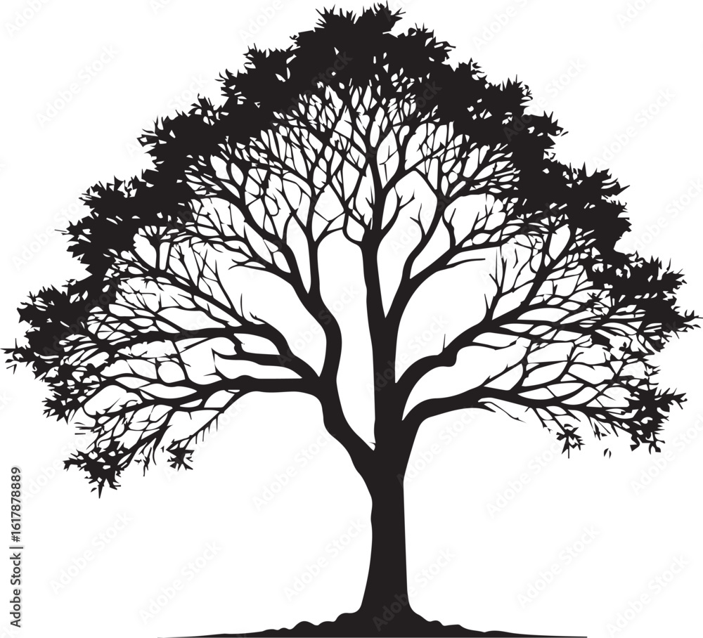 Fototapeta premium Tree silhouette Vector | Minimalist & Trendy Tree Silhouette Design | Unique & Stylish Tree Artwork for Vector design