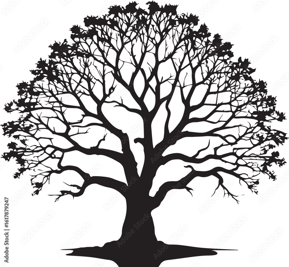 Fototapeta premium Tree silhouette Vector | Minimalist & Trendy Tree Silhouette Design | Unique & Stylish Tree Artwork for Vector design