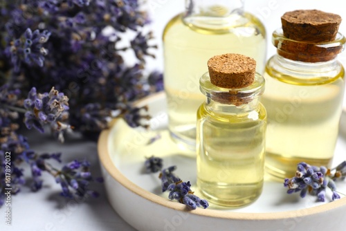 Fotografija Bottles of essential oil for aromatherapy, alternative medicine or perfumery and a bouquet of fresh lavender on a light background