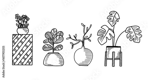 A contemporary display features four different planters holding assorted greenery, showcasing the beauty of indoor gardening in a well-lit living area.