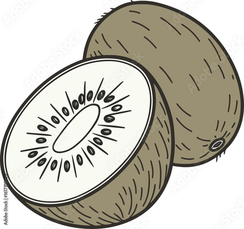 Vector Illustration of Kiwi Fruit on White Background