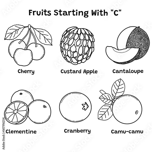A simple set of fruits starting with "C", containing cherry, custard apple, cantaloupe, clementine, cranberry, and camu-camu. Vector illustration design template. Isolated on a white background.