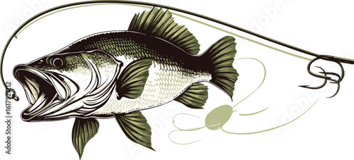 Largemouth bass fishing illustration with hook line and spinner lure