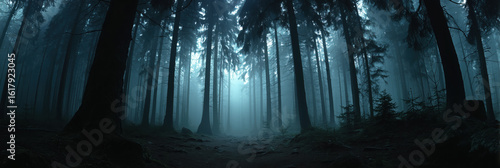Wallpaper Mural Dark, misty forest panorama creates spooky and mysterious atmosphere at night Torontodigital.ca
