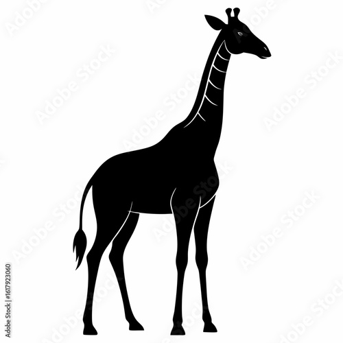 Black and white giraffe silhouette vector illustration of a wild mammal