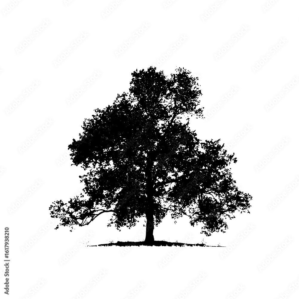 Fototapeta premium Silhouette of a majestic tree against a clear background.
