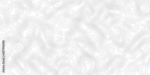 a white background with gray contour lines depicting a topographic map. the lines show changes in elevation and create an abstract pattern.