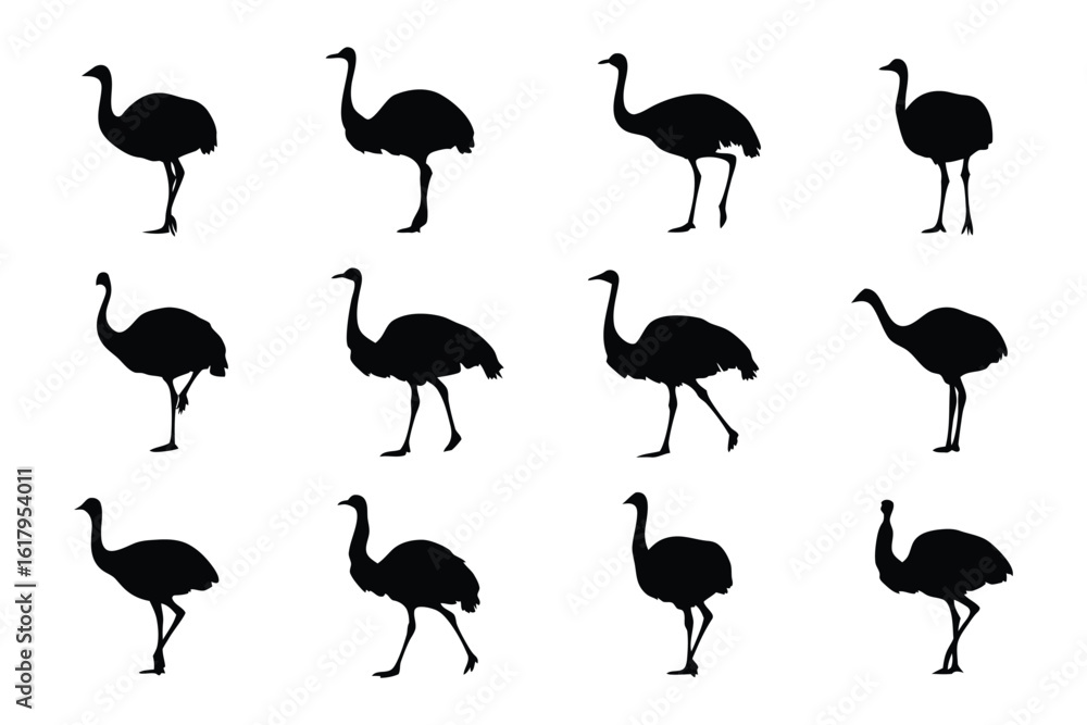Obraz premium Ostrich Silhouette in Motion: A series of ostrich silhouettes display a variety of poses, capturing the bird's unique form and movement against a stark backdrop.