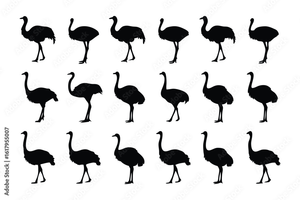 Fototapeta premium Silhouette of Ostrich: A meticulously crafted monochrome composition showcases a repetitive sequence of ostrich silhouettes, presenting a striking study in form and pattern. 