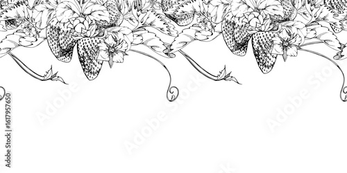 Strawberry berries leaves flowers hanging bunch, vines tendrils creepers garland garden pineberry strasberry. Hand drawn in vector ink. Isolated seamless banner border. Menu, farmers market, florist