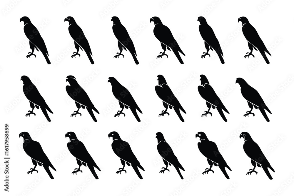 Obraz premium Hawk Silhouette Collection: A captivating collection of hawk silhouettes, capturing the essence of these majestic birds of prey in striking black against a clear, modern backdrop.