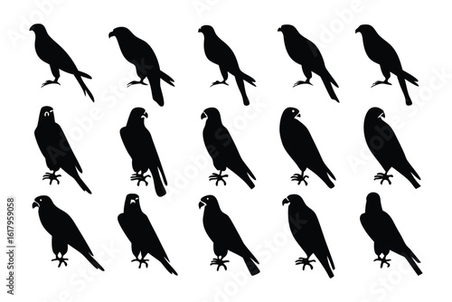 Silhouette of Birds: A striking silhouette of birds, symbolizing freedom and strength, graces against the stark contrast of a blank canvas.