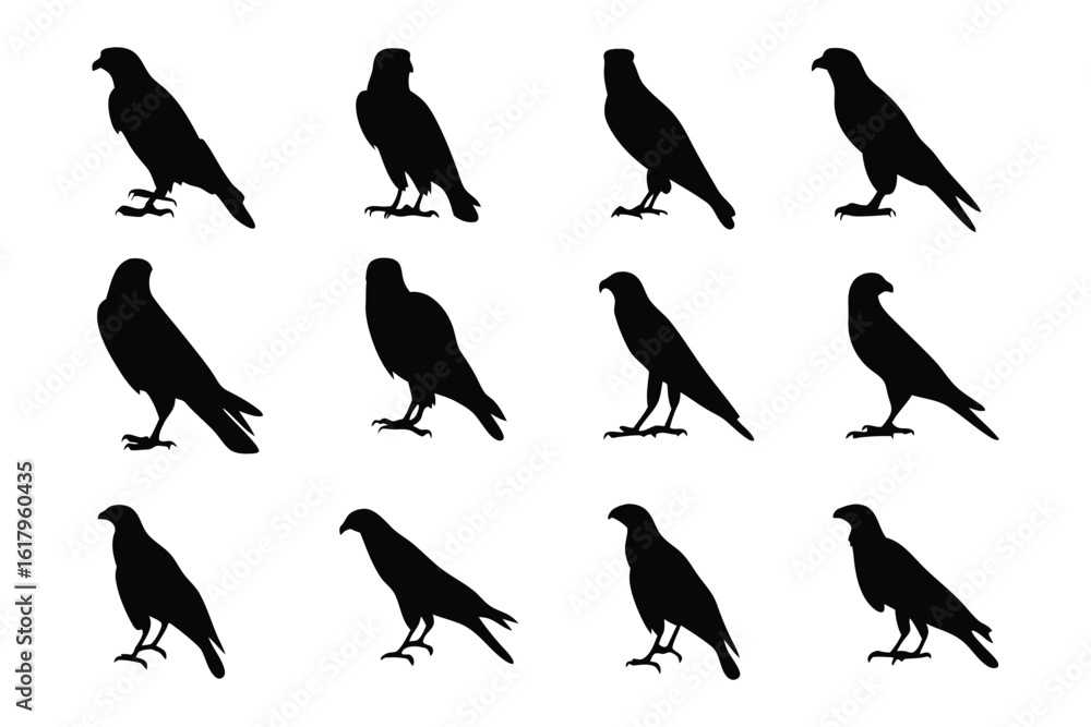 Obraz premium Silhouette of raptor: A striking series of dark silhouettes of raptors stands out, each captured in different poses, emphasizing power, grace, and the spirit of freedom