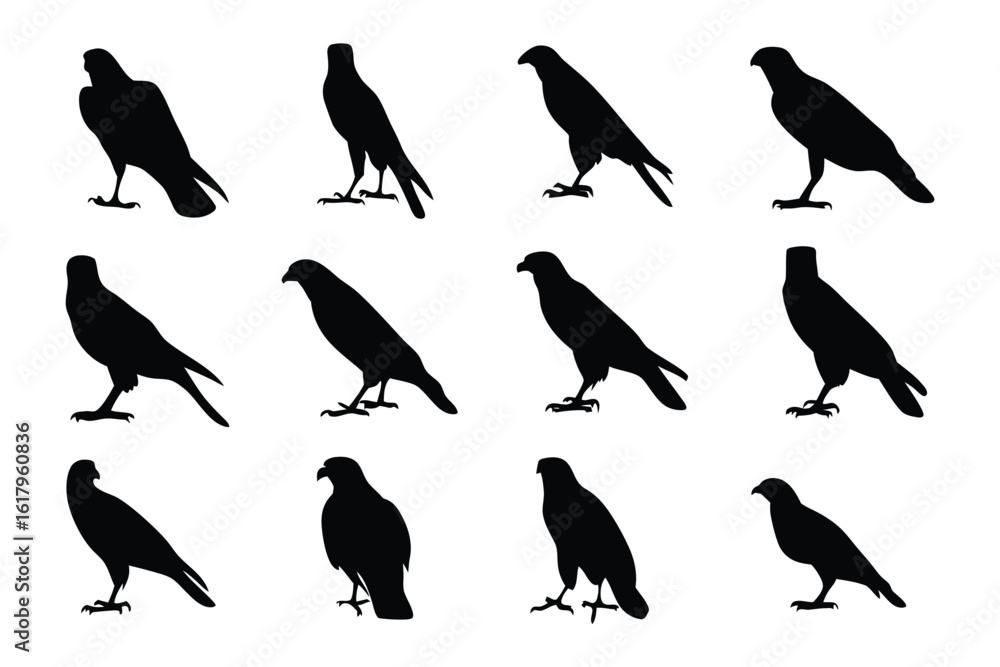 Fototapeta premium Avian Shadows: A grid of raptor silhouettes, captured in stark monochromatic detail, perfect for illustrating flight, freedom, and the raw power of nature.