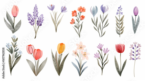 Colorful watercolor floral illustrations in various styles