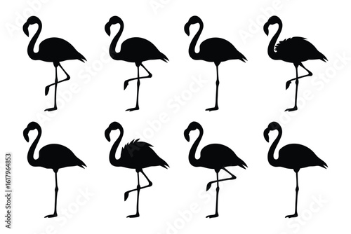 Flamingo Silhouette Pattern: An artful pattern of flamingo silhouettes, arranged elegantly, each embodying grace and natural charm. A celebration of beauty and artistic design.