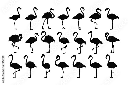 Flamingo Silhouettes: A captivating display of flamingo silhouettes elegantly arranged, each figure showcasing the bird's graceful form and intricate details.