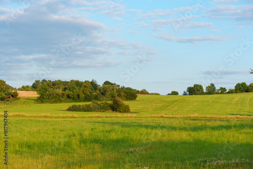 Lush Green Fields Under a Clear Blue Sky in Rossdorf Germany