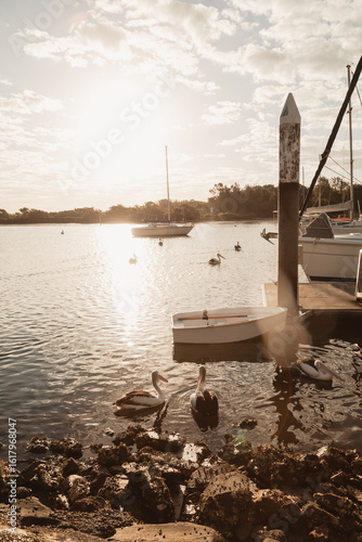 Obraz na płótnie Pelicans gathered around jetty on the Clarence River at sunrise