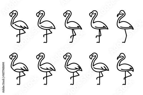 Flamingos: A symmetrical collection of gracefully posed flamingos, captured in an illustration, their unique features and elegance. 