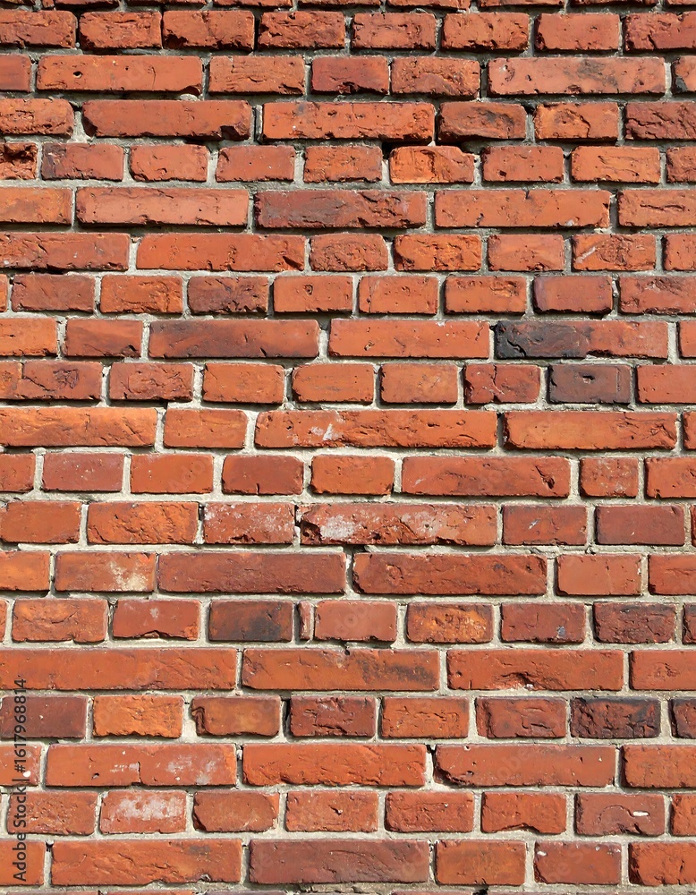 Obraz premium Red brick wall texture