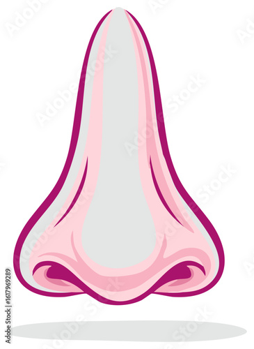 Isolated vector illustration of a human nose, anatomy and sense of smell concept