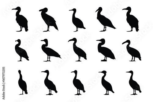 Cormorant Silhouette Showcase: A collection of stylized cormorant silhouettes, each capturing a unique pose, offering a versatile resource for design projects
