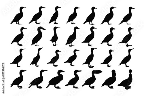 Monochrome Seabird silhouettes: An ensemble of avian silhouettes, masterfully rendered in solid black. Each bird embodies the sleek elegance of coastal denizens, arranged in a rhythmic visual dance.