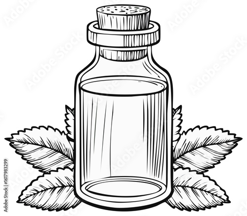 Glass bottle with cork stopper and mint leaves sketch isolated on white background