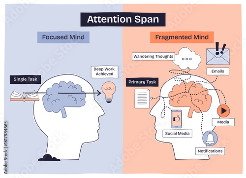Attention span shows a focused mind vs fragmented mind with brains, tasks, and distractions. Doodle style diagram