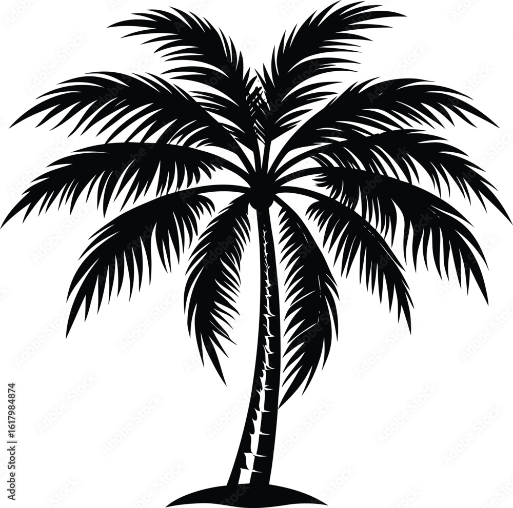 palm tree silhouette with detailed leaves in tropical nature vector illustration palm tree silhouette with detailed leaves in tropical nature vector illustration