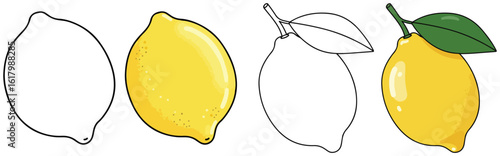 Fresh Lemon Whole and with Leaf Illustration in Split Black-and-White and Colored Style - Citrus Fruit Design for Healthy Eating and Creative Projects