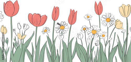 Hand drawn floral border with tulips and daisies on white background