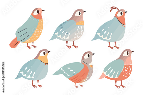 Whimsical Bird Collection: A delightful collection of stylized, charming birds, each with unique markings and colors, ready to bring a touch of avian beauty and cheerful playfulness to any design.